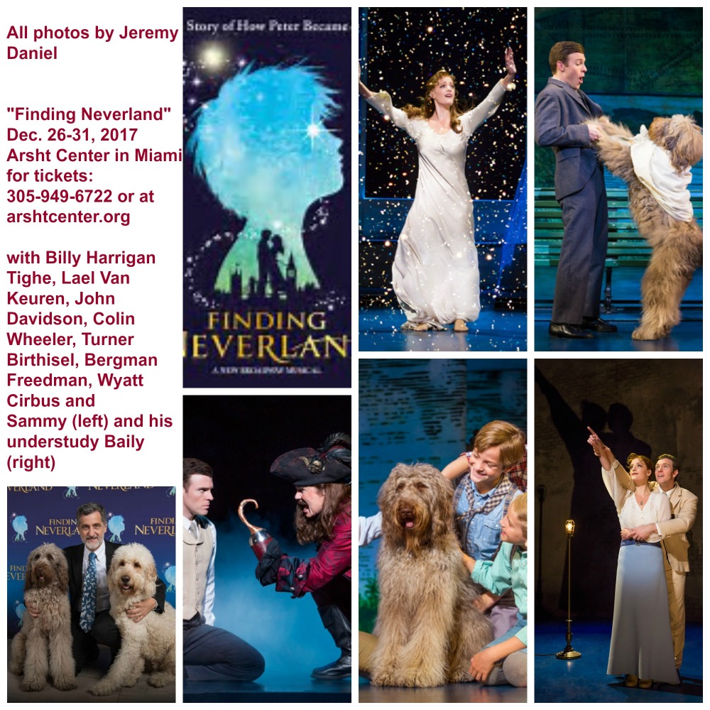 Finding Neverland Dec 2017 collage