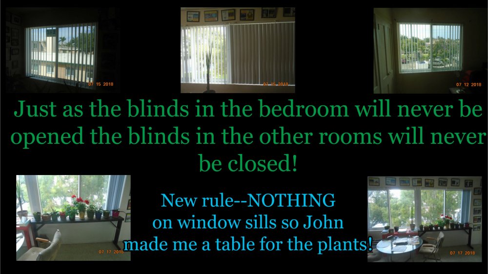 Livingroom new windows and blinds